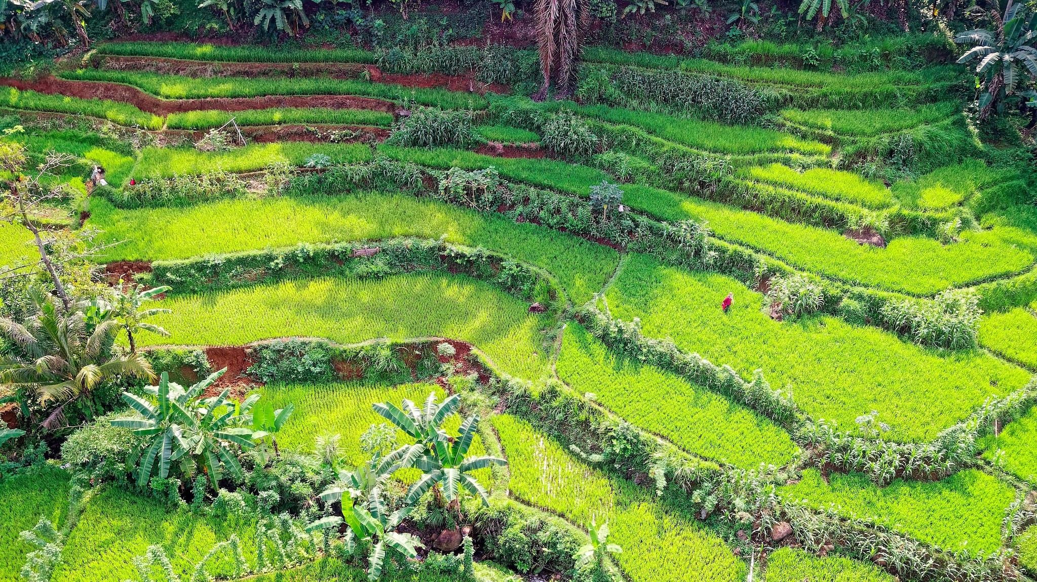 How to Plan the Perfect Bali Itinerary for First-Time Visitors