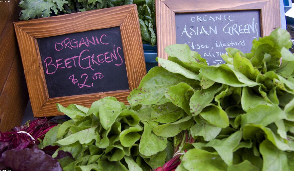 How to Build Healthy Eating Habits That Stick